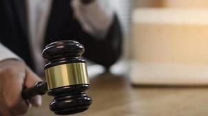 Legal-Eagles Fight With Paper to Get You the Justice You Deserve