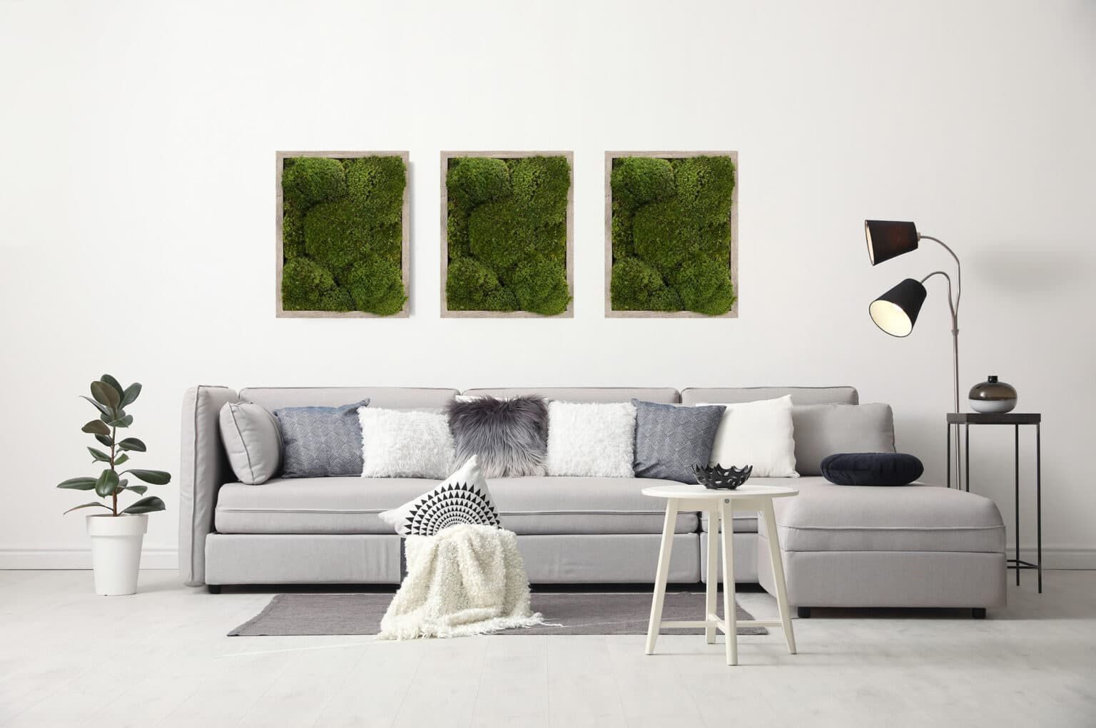 Moss Pure Uses the Benefits of Live Moss to Improve Your Health Without Any Watering Needed