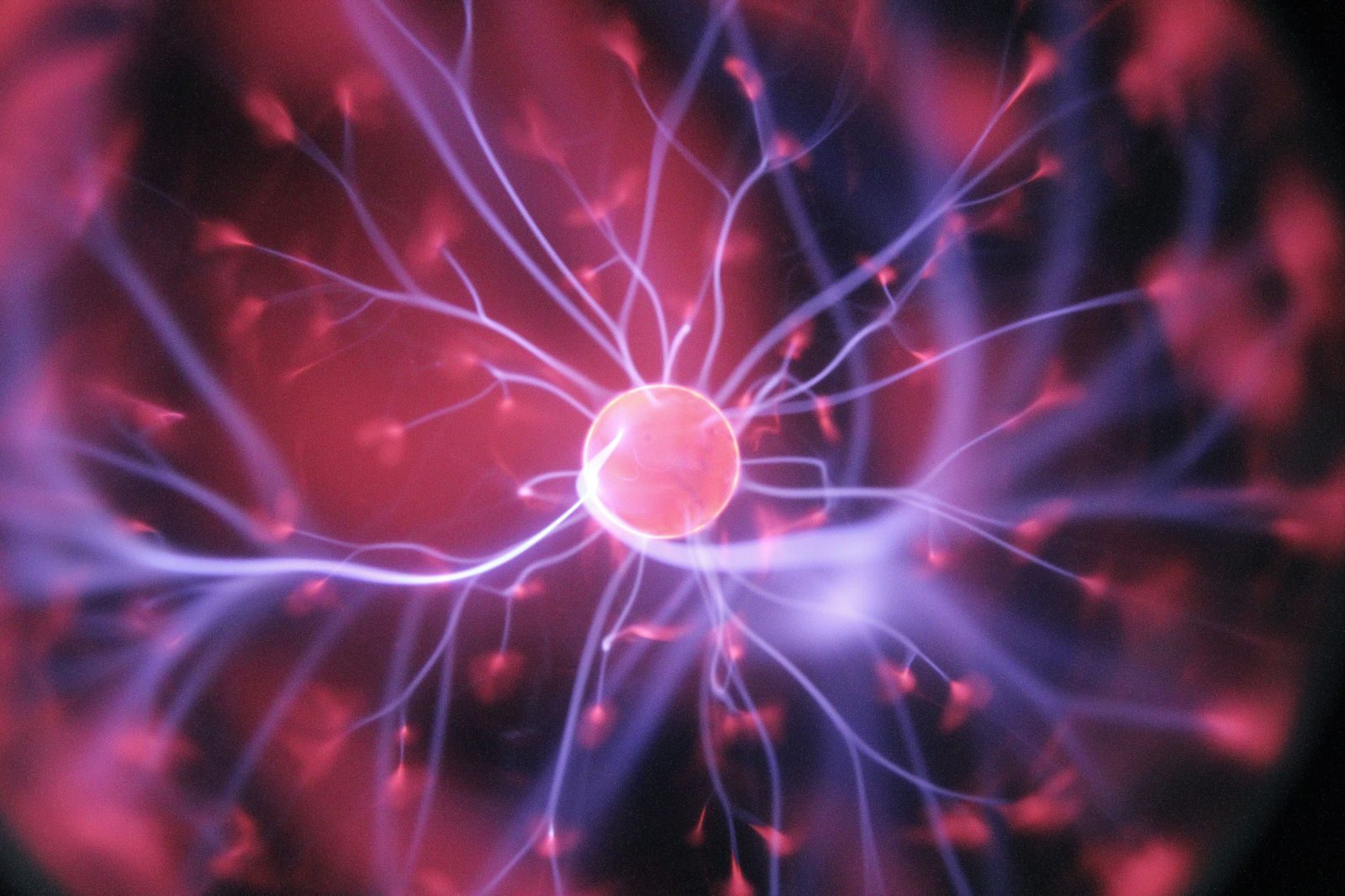 Olgam Life: Revolutionizing Plasma Industry with Care and Innovation