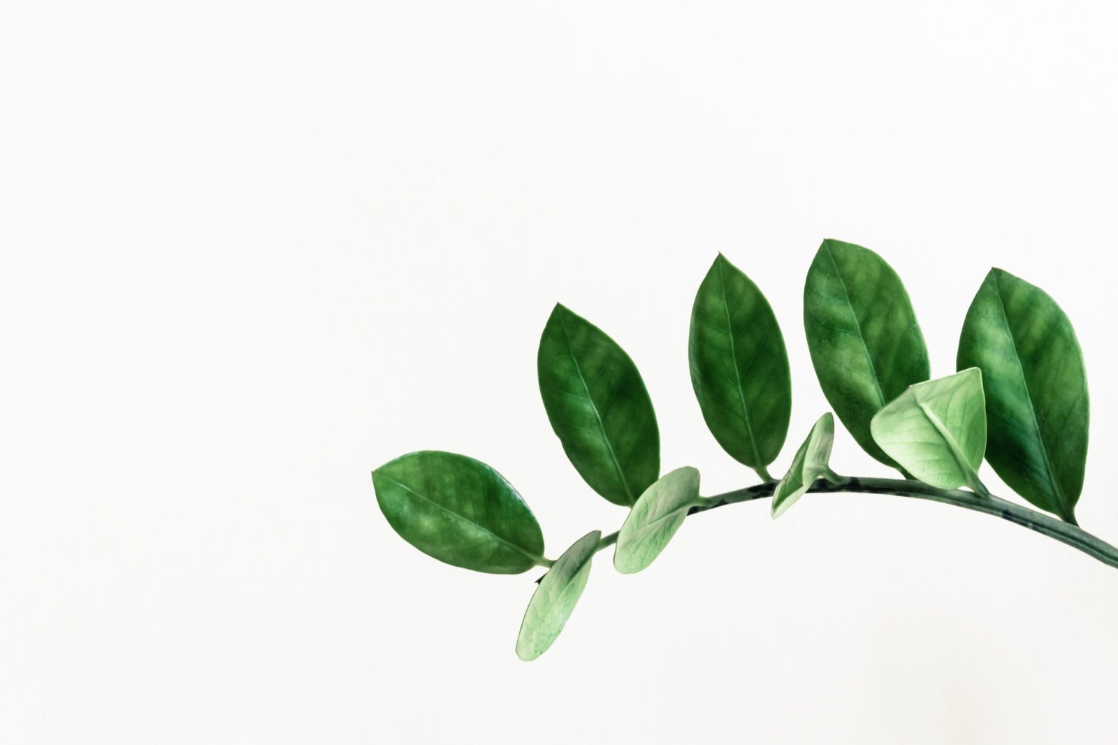 The GrowRight, an Innovative New Product that is Disrupting the Agricultural Industry.